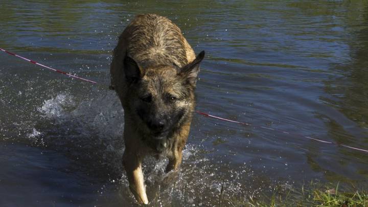 Clima en Neuquén: sábado caluroso y tiempo bueno para disfrutar al aire libre