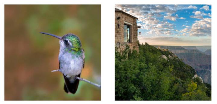 Herberger Theater puts out call to artists