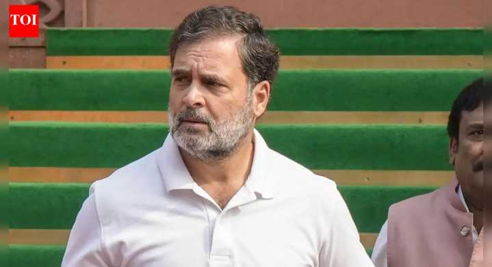 'Govt doesn't want us to meet': Rahul Gandhi's big charge amid Putin's India visit; cites Vajpayee