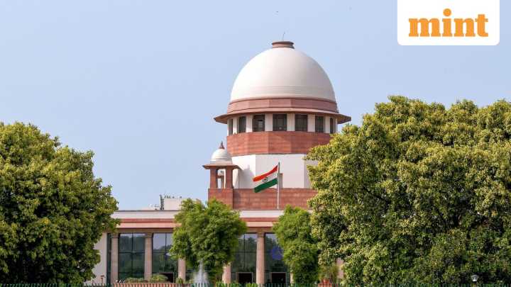 Deported as Bangladeshis, Sunali Khatun, son to be brought back