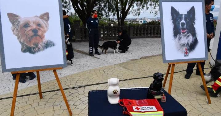 Protestan por justicia para Athos y Tango