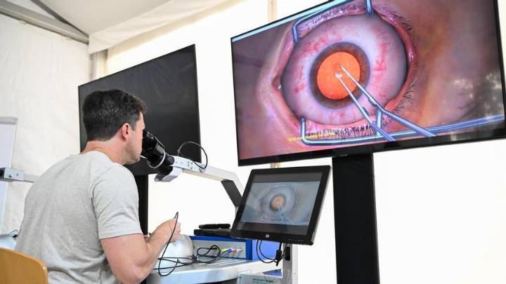 Alicante trabaja ya en la edición genética personalizada frente a la ceguera