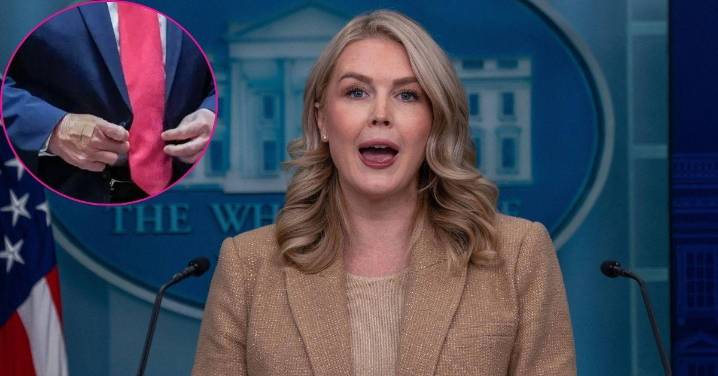 Karoline Leavitt Cornered About Donald Trump's Bandaged Hands and Constant Hand