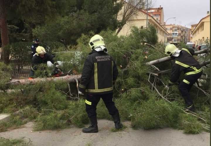 Un camión de basura provoca la caída de un árbol