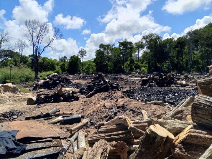 Retienen más de 13 toneladas de carbón vegetal en Miranda