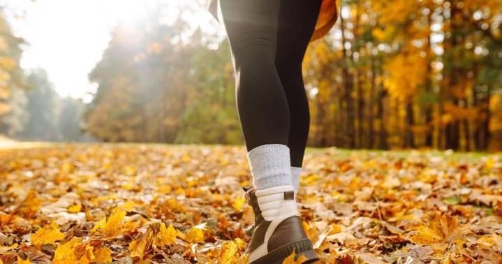 Experience the many benefits from time in nature