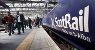 Garden shed and cattle on railway delay trains near Glasgow