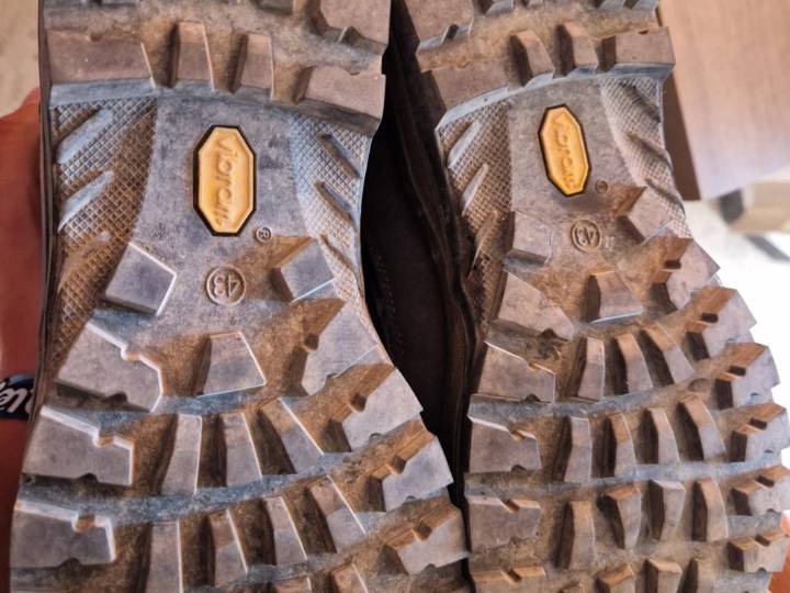 El Gobierno de Aragón refuerza la campaña de prevención de la peste porcina con recomendaciones para montañeros y ciclistas