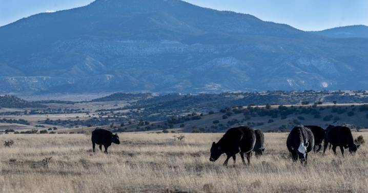 Ghost Ranch plans to protect 6,000 acres of land under conservation plan