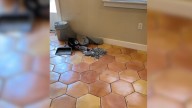 Missouri Woman’s Kitchen Project Leads To A Sentimental Surprise Sealed Into The Floor