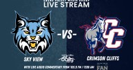 LIVESTREAM: Sky View vs Crimson Cliffs boys basketball