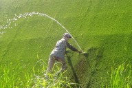 Leyenda popular. La historia del niño de los Países Bajos que evitó que su país se inundara al tapar con su dedo un agujero de un dique