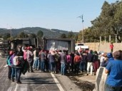 Pobladores rapiñan pavos tras accidente de tráiler en la autopista Orizaba