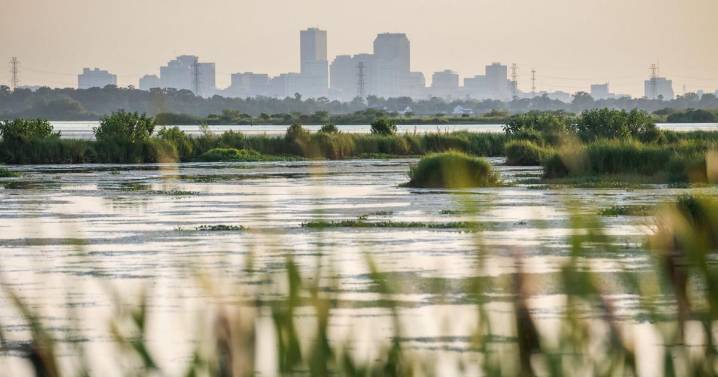 Louisiana’s coastal restoration strategy sees major shift in new plan