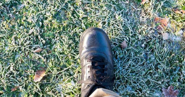 Anyone with garden warned 'avoid stepping on frosty grass' this winter