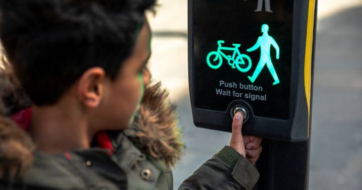 Government told to make two-second change to pedestrian crossings