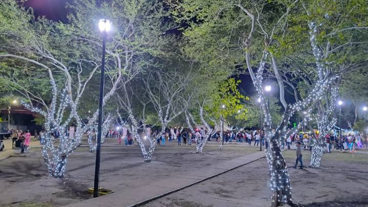 Niños y jóvenes protagonizaron el encendido de luces en Cedeño