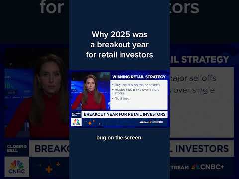 Why 2025 was a breakout year for retail investors