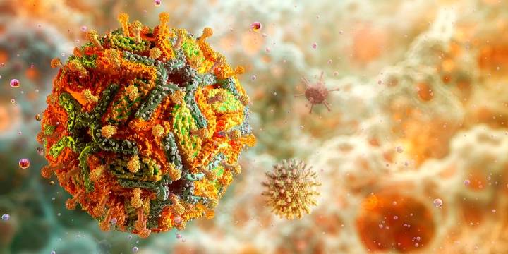 Avance inédito: logran crear el primer mapa molecular y en 3D del virus de la fiebre amarilla