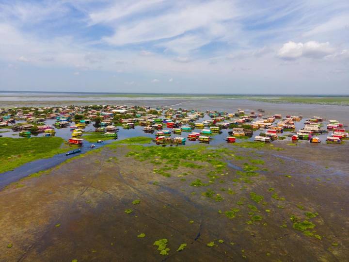 Corpamag intensifica acciones contra la proliferación de Hydrilla en la Ciénaga Grande