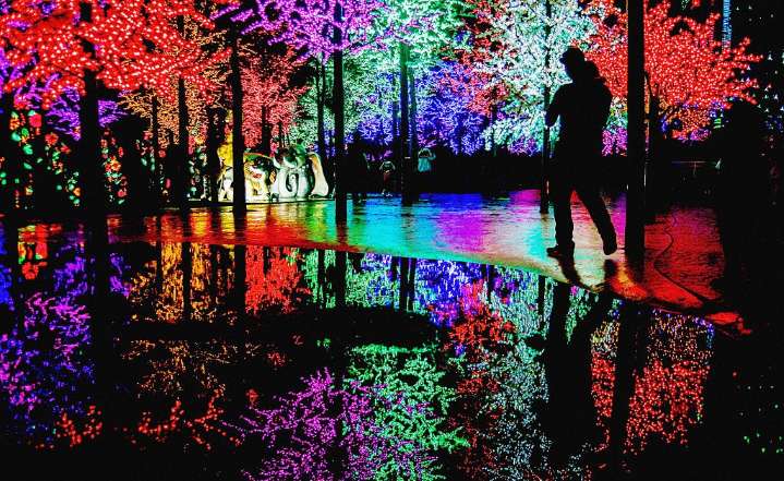 The Holidays Can Be Brutal