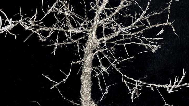 Almazuela, una exposición de art brut e inclusión en la Fundación Madariaga