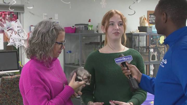 Isaac Foundation kicks off Christmas season with Taste of Gingerbread