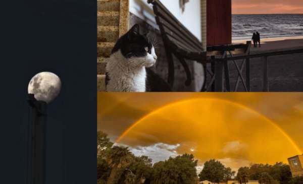 Las fotos de la semana en el Instagram de La Nueva.