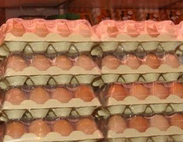 Colombia logra acceso sanitario para exportar huevo con cáscara a Estados Unidos