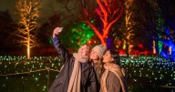 The stunning Christmas winter light trail in Edinburgh perfect for family day out
