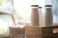 Leche entera, semidescremada o vegetal: cuál es mejor y qué aporta cada opción a la dieta