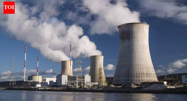 After Kudankulam project, Modi & Putin discuss building second Russian N