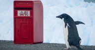 King’s special post box delivery for scientists in the Antarctic