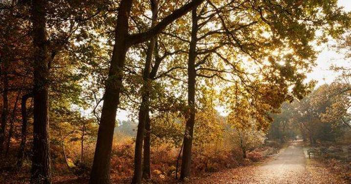 Beautiful UK village with cosy pubs and beautiful walks that's on the Elizabeth Line