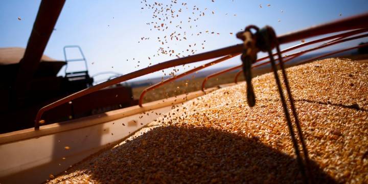 Baja de retenciones al campo: cómo impactará en el ingreso de divisas, los precios y las cuentas fiscales