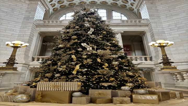 McKee announces open house after State House tree lighting controversy