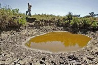 Hopelchén sin pozos ni jagüeyes para ganadería; acuífero pierde 70% de agua, advierte UNAM