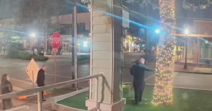 Bishop Arts shop owner says "Grinch" tore down holiday decorations