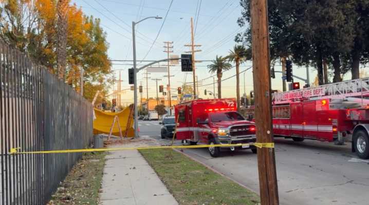 Tree trimmer fatally impaled on iron fence after 35
