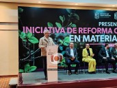 Con iniciativa de reforma, Gobierno de Michoacán prevé garantizar derechos ambientales