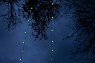 Expect a mostly cloudy Sunday before rain drenches Portland again come Monday