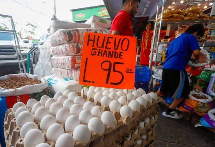 Precio del cartón huevo sube 5 lempiras en mercados capitalinos