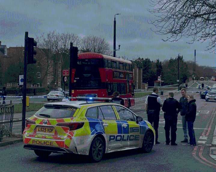 Schoolgirl, 11, fighting for life after being hit by car in south London