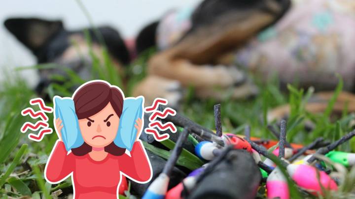 Reportes por exceso de ruido en Durango deben realizarse de manera formal: así puedes hacerlo