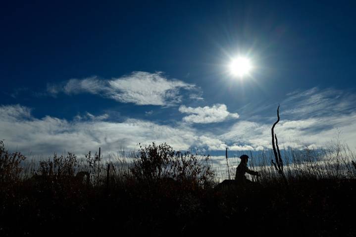Temporary partial closure of trail at McIntosh Lake delayed