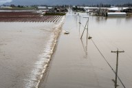 Abbotsford mayor criticizes Ottawa for ‘inaction’ on flooding