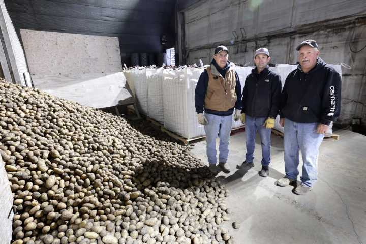 Grand Forks-area farmers excited for Agristo to put a 'spark back in potato business'
