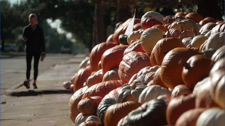 Pumpkins for Pigs: Why this North Texas home is a post