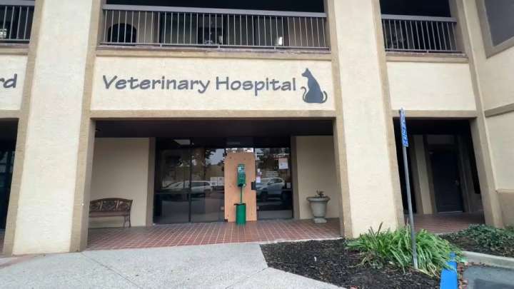 Cremated remains stolen during Brentwood veterinary hospital break