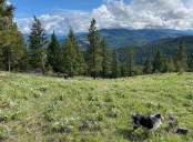 Viewpoint: Roadless areas are Montana, so let's protect them